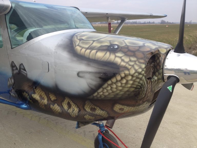 DTD pics (7)